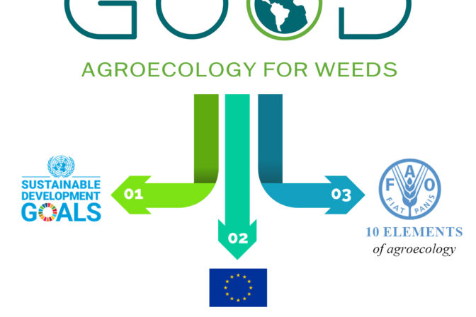 Agroecological weed management…why?