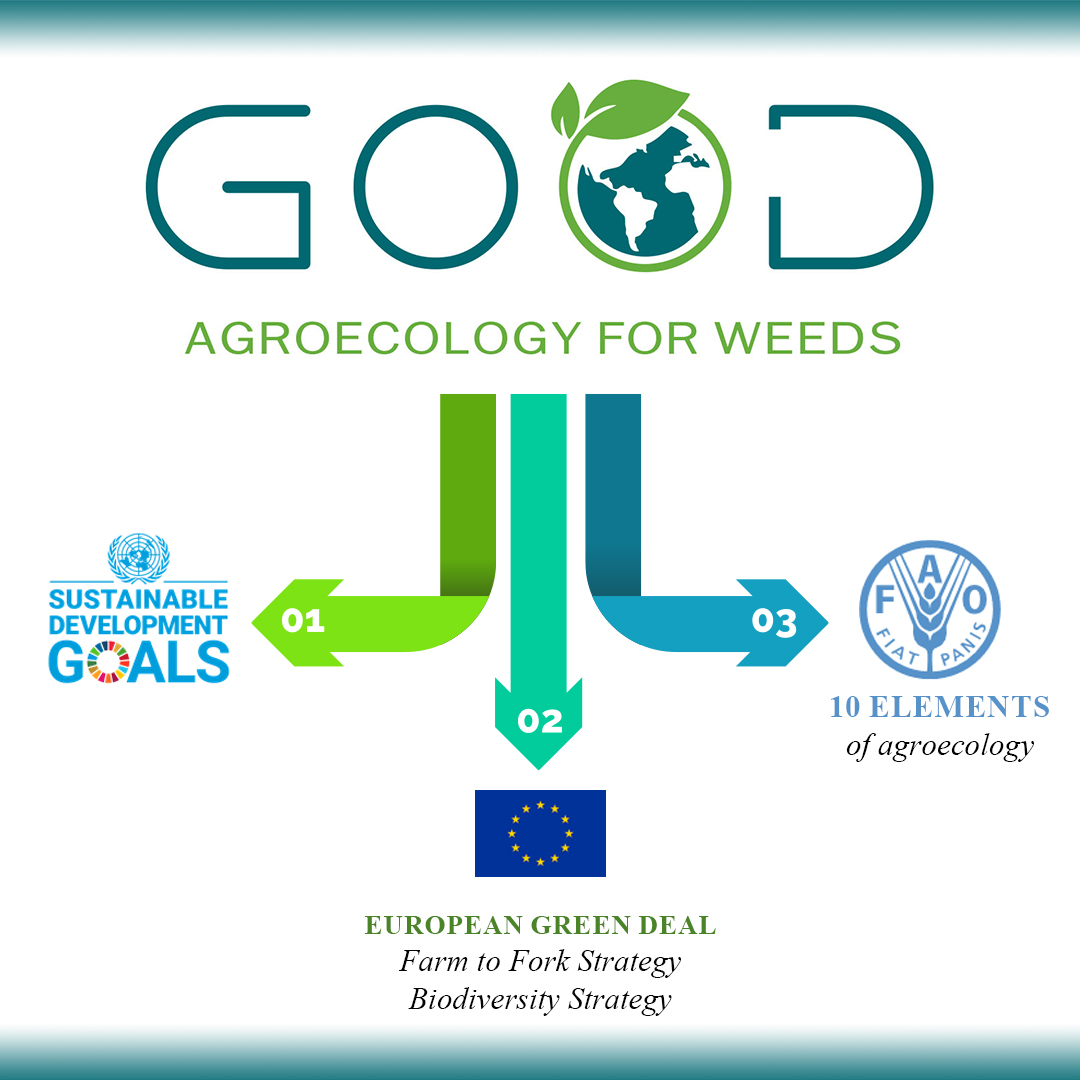 Agroecological weed management…why?
