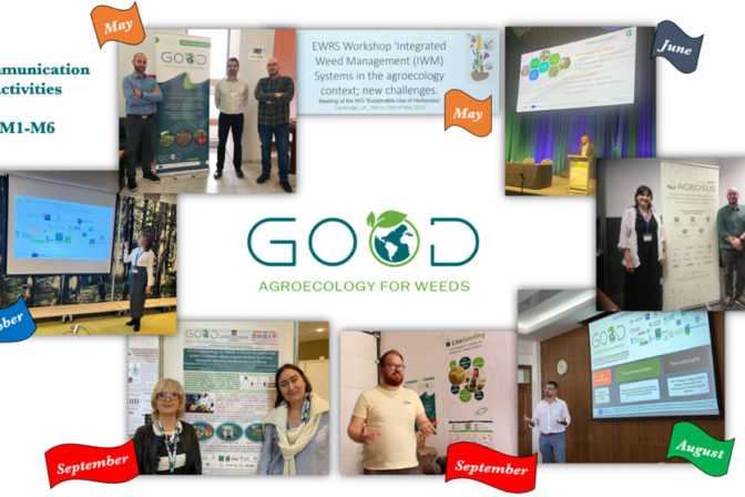 Communicating the GOOD project in the first six months…at a glance