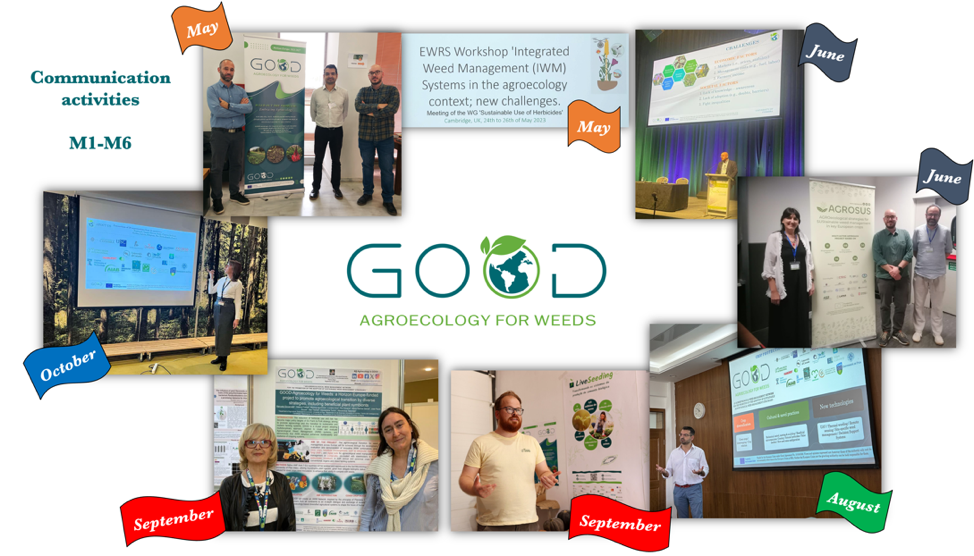 Communicating the GOOD project in the first six months…at a glance