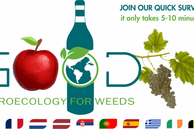 Do you eat 🍎 apples 🍏 OR drink 🍷 wine 🍇?