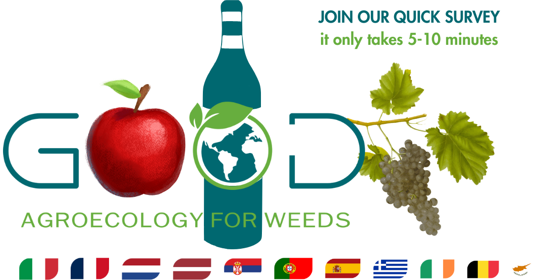 Do you eat 🍎 apples 🍏 OR drink 🍷 wine 🍇?