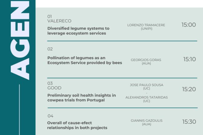 [Webinar] GOOD x VALERECO – Part II: Leveraging Ecosystem Services in Legume Production