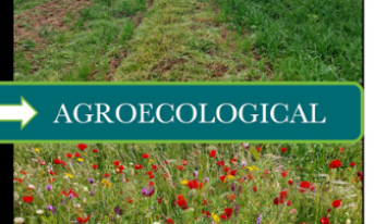 Agroecological