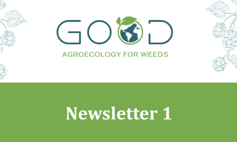 GOOD-Newsletter1
