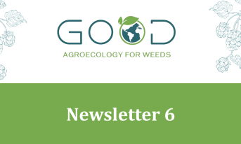 GOOD-Newsletter6