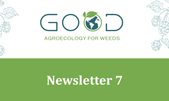 GOOD-Newsletter7