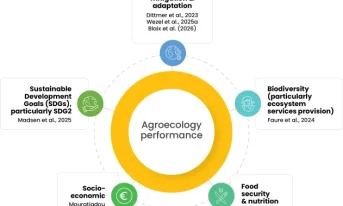 Geck et al. Multidimensional performance of agroecology
